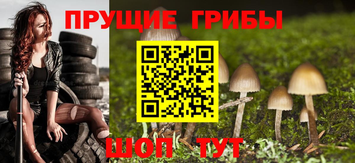 Псилоцибиновые грибы Psilocybe  Вход с VPN  Галлюциногенные грибы Magic Shrooms  Богородицк 